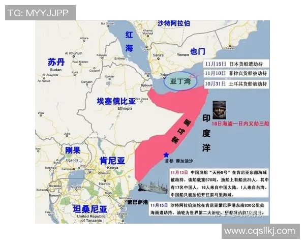 赖斯的外交智慧与全球战略布局：重塑国际关系的新篇章