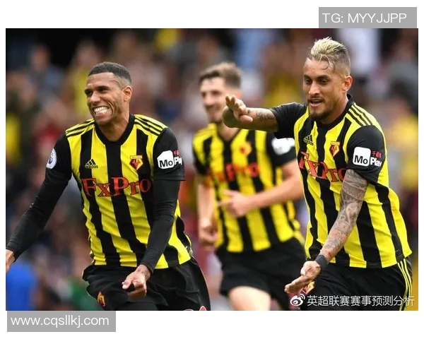 西布罗与斯托克比赛前瞻分析及胜负预测探讨